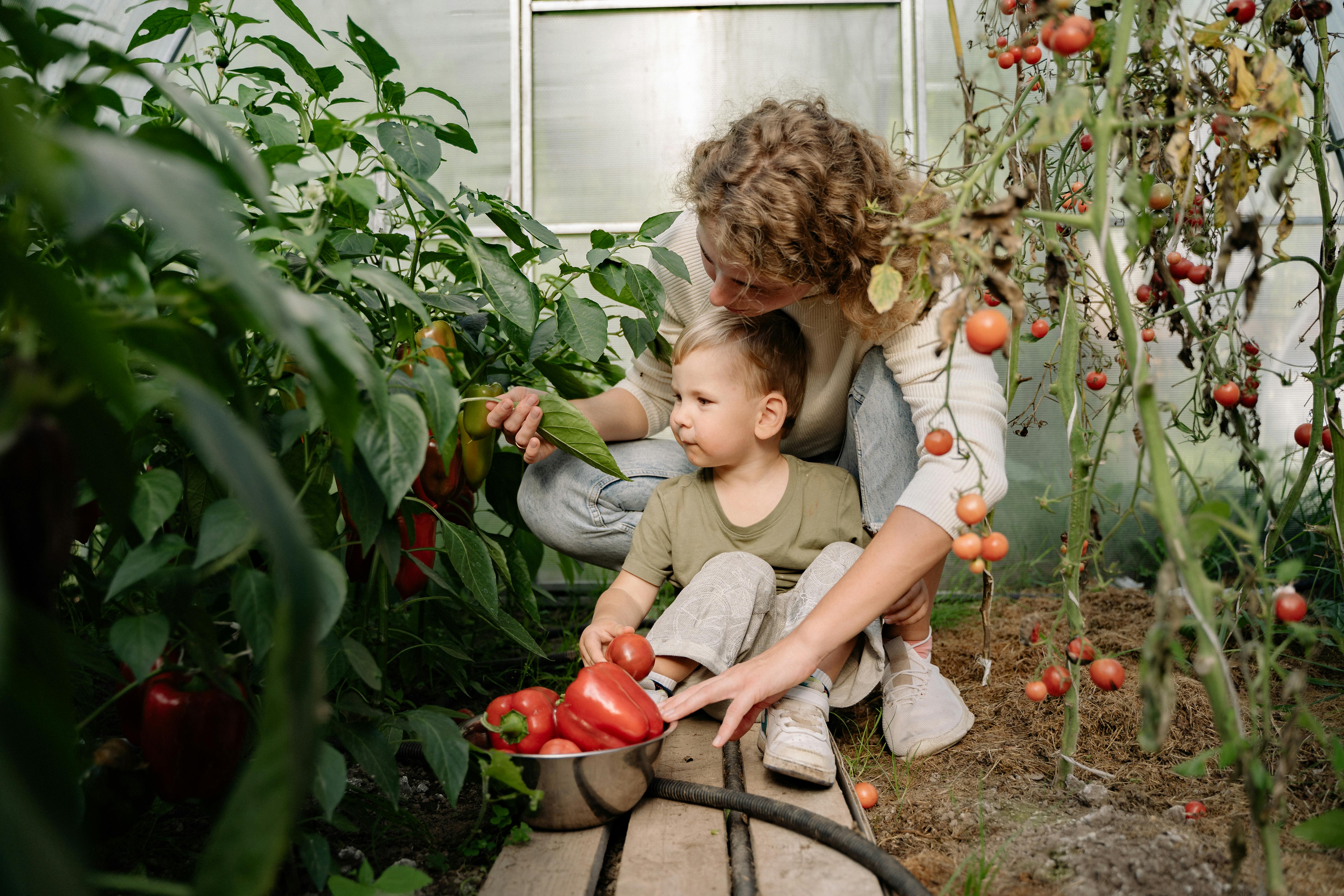 Få inspiration til sjove og lærerige aktiviteter i haven med dine børn, fra havearbejde og skattejagter til bygning af fuglekasser og insekthoteller.