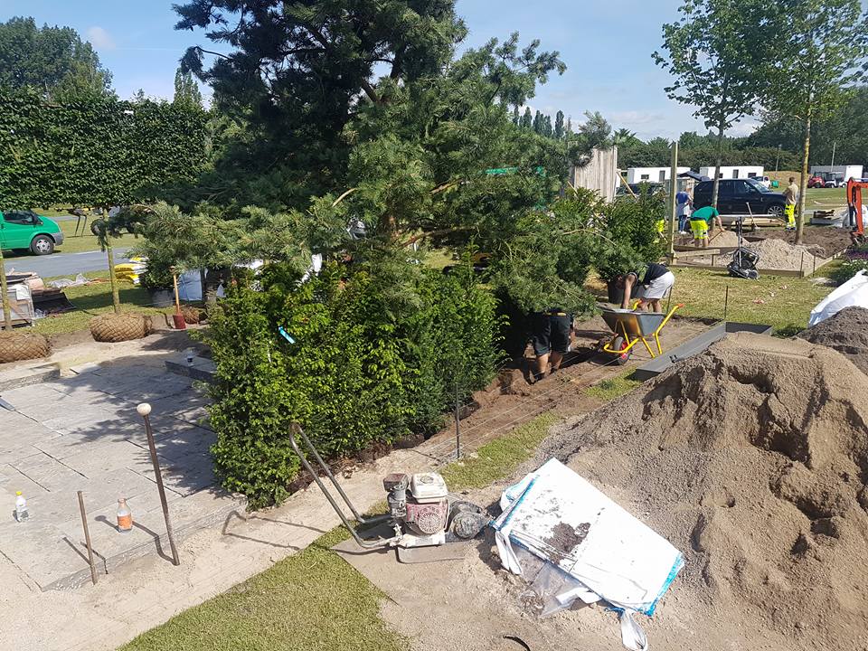 19113648 1331819353583973 5549082832456453337 n