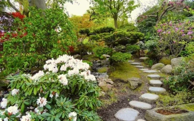 Mangler du inspiration til haven? Få hjælp af en havearkitekt