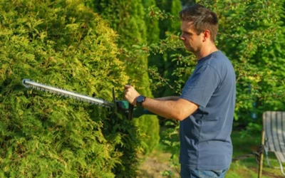 Guide til klipning af hæk