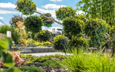 Drømmehave: Før din idé til virkelighed