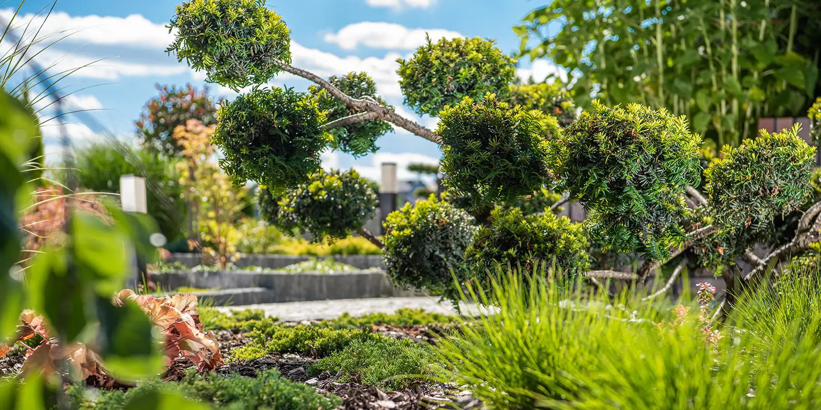 Thomsens haveservice hero 1