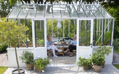 Guide til udplantning fra drivhus